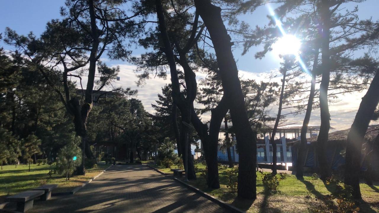 Hotel Palermo Kobuleti Zewnętrze zdjęcie